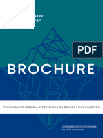 Brochure Del Programa PSE 1