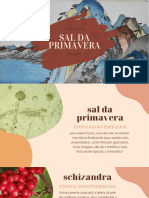 Sal Da Primavera02 Temperos Milenares Ebook Gratuito