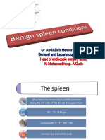 Benign Spleen Conditions