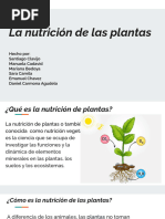 La Nutrición de Las Plantas