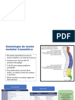 Traumatologia Vertebromedular