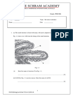 PIGCSE Revision Worksheet 1