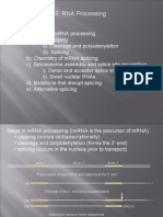 RNA Processing