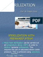 Sterilization: Prof. Dr. Gülgün Yener