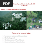 Lecture 7 Plasma Membrane and Its Functions