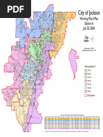 Jackson Ward Map - Option 6