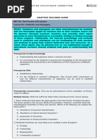 ATG-Cladistics and Phylogeny