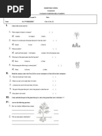 EVS Grade 2 Revesion Paper