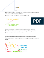 Biology A2 Chapter 13 Photsynthay