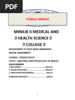 The Female Breast Assignm