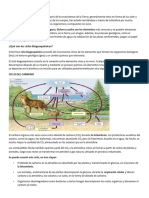 1.6 Ciclo Biogeoquímicos