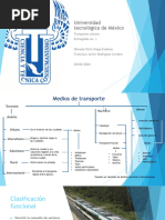 Tipos de Transporte