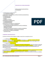 Ud-13. Patología Del Sistema Endocrino Subrayado