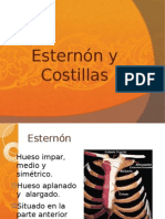 Presentación Costillas y Esternon