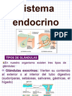 Sistema Endocrino 130611194643 Phpapp01