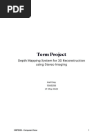 Term Project Report