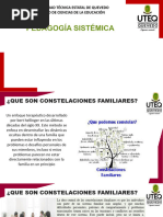 Constelaciones Familiares Clase Teórico Práctica