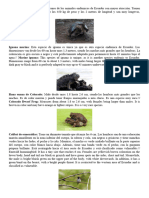 Animales Endemicos de Ecuador