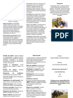 Folleto Psicología Militar