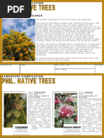 Philippine Native Trees