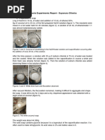 Organic Experiments Report - 26 - 01 - 24