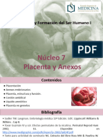 PLACENTA - PPTX