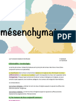 Tumeurs Mésenchymateuses