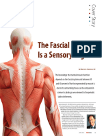 The Fascial System Is A Sensory Organ - Graston Technique (PDFDrive)