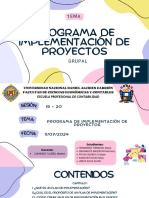 Programa de Implementación de Proyectos