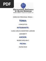 Derecho Procesal Penal I Conceptos 1