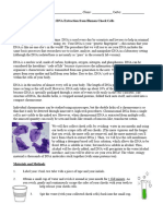 DNA Extraction
