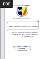 Rapport de Labo Mesure Obed