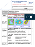 EXAMENES DEL 1ER TRIMESTRE CCNN 9no.