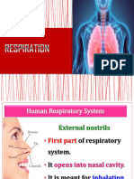 2 Breathing and Exchange of Gases PDF