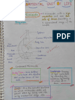 Cells 9th (By Shamshad)