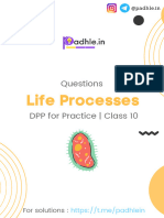 Life Processes DPP Questions