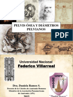 Documents - MX Drs Pelvis Osea y Pelvimetria 2015.PDF