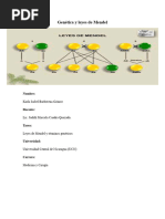 Leyes Mendel