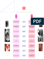 Colitis Ulcerativa y Enfermedad de Crohn