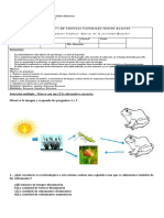 6.unidad I. DIF - Evaluación Fotosintesis.2022 (Reparado)