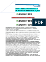 Mapa Portfólio - Imersão Profissional: A Execução Penal E A Finalidade Da Pena - 53 - 2024