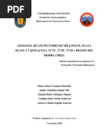 Informe Petrología y Petrografía Sedimentaria, Curiqueo, Espejo, Velázquez, Verbal, Zagolín