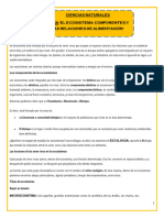 Ecosistema, Componentes. 1° Año PDF