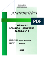 4 - Triangulo