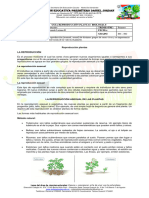 Guia Bio 8 Reproduccion en Plantas