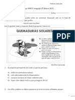 Ensayo Simce Quemaduras Solares