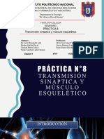 Seminario 8