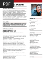 Alan EspinozaBalbutin CV