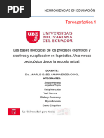 Tarea 1 Neurociencias en Educación Ube