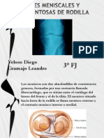 Lesiones Meniscales y Ligamentosas de Rodilla